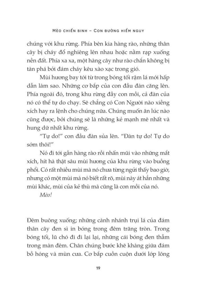 mèo chiến binh - con đường hiểm nguy