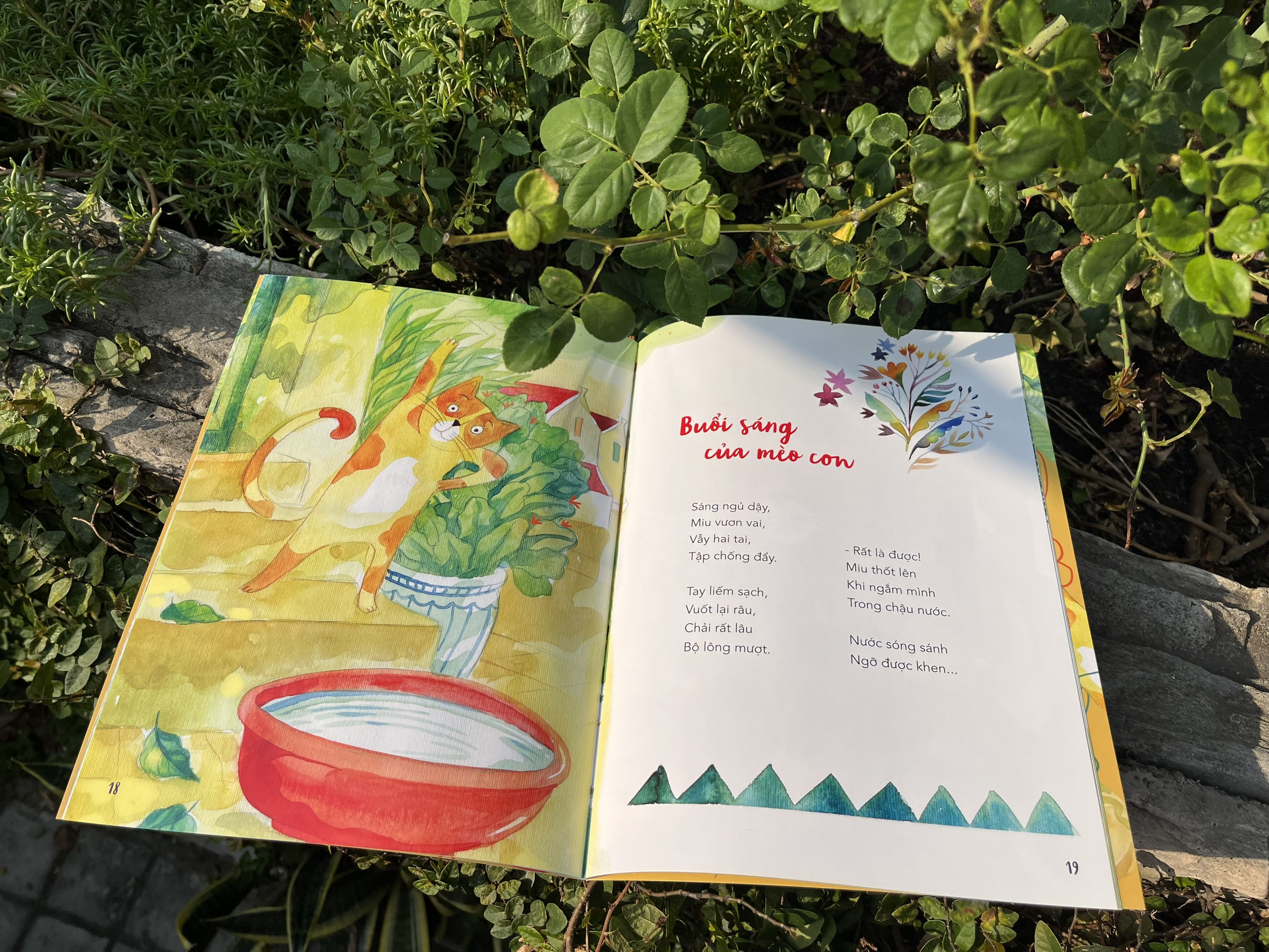 mèo con đếm tuổi