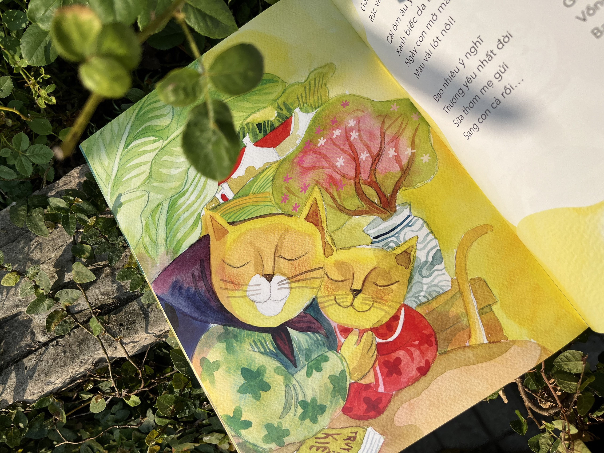 mèo con đếm tuổi