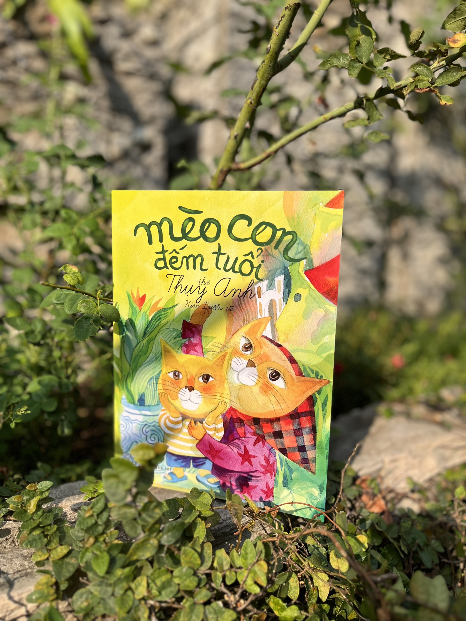 mèo con đếm tuổi