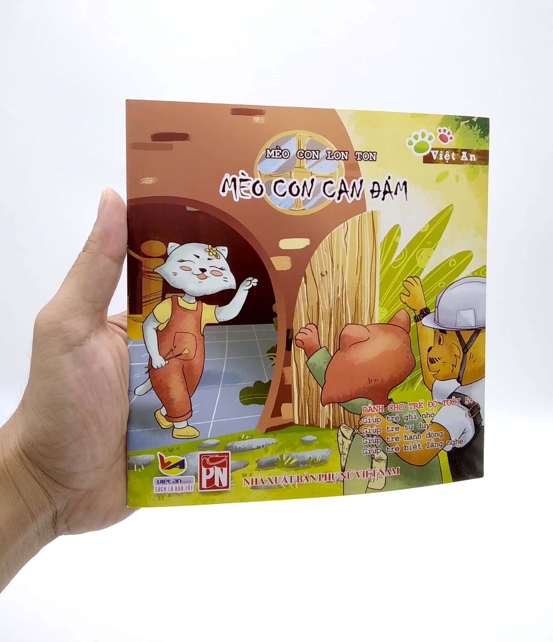 mèo con lon ton - mèo con can đảm