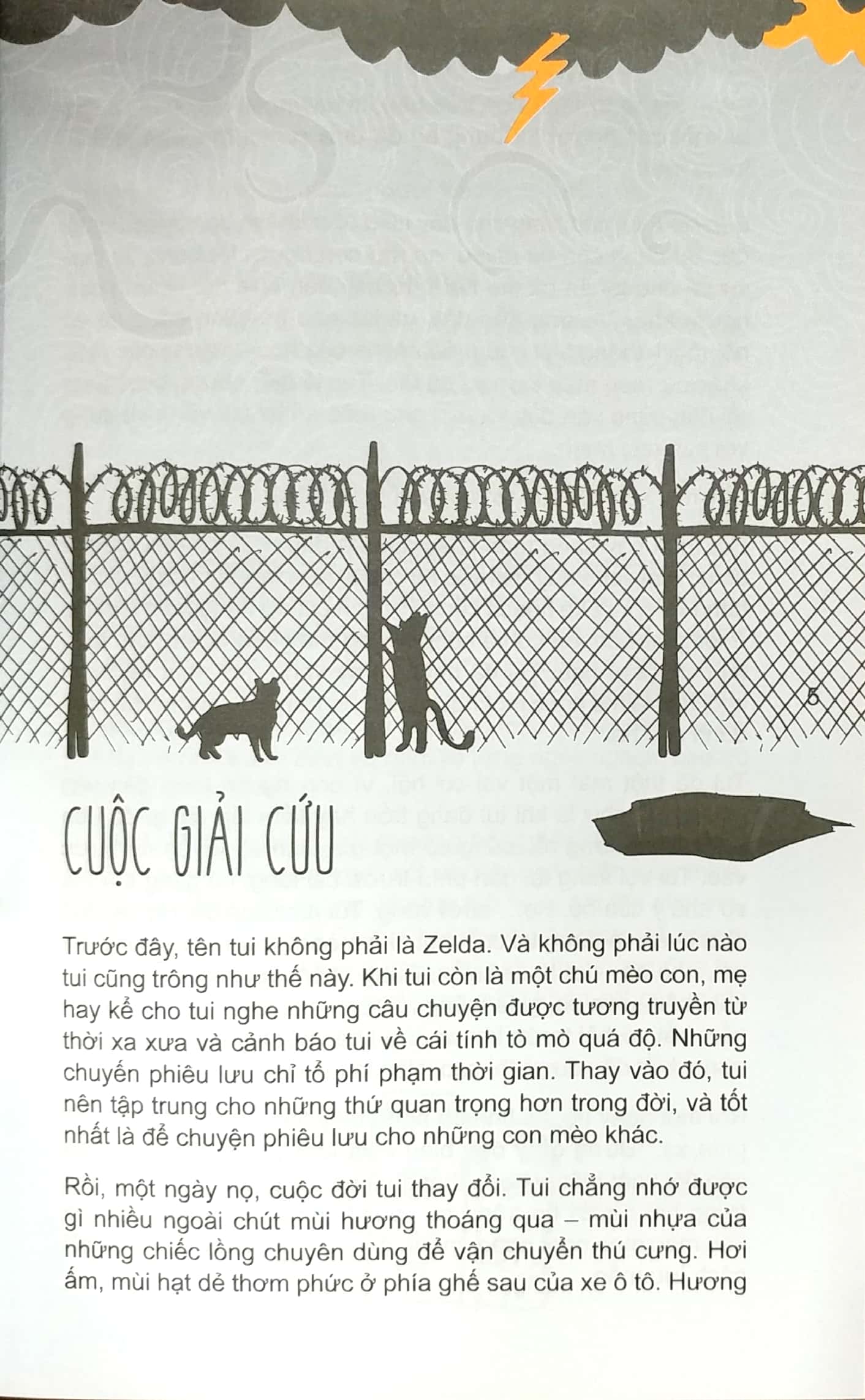 mèo con phiêu lưu ký