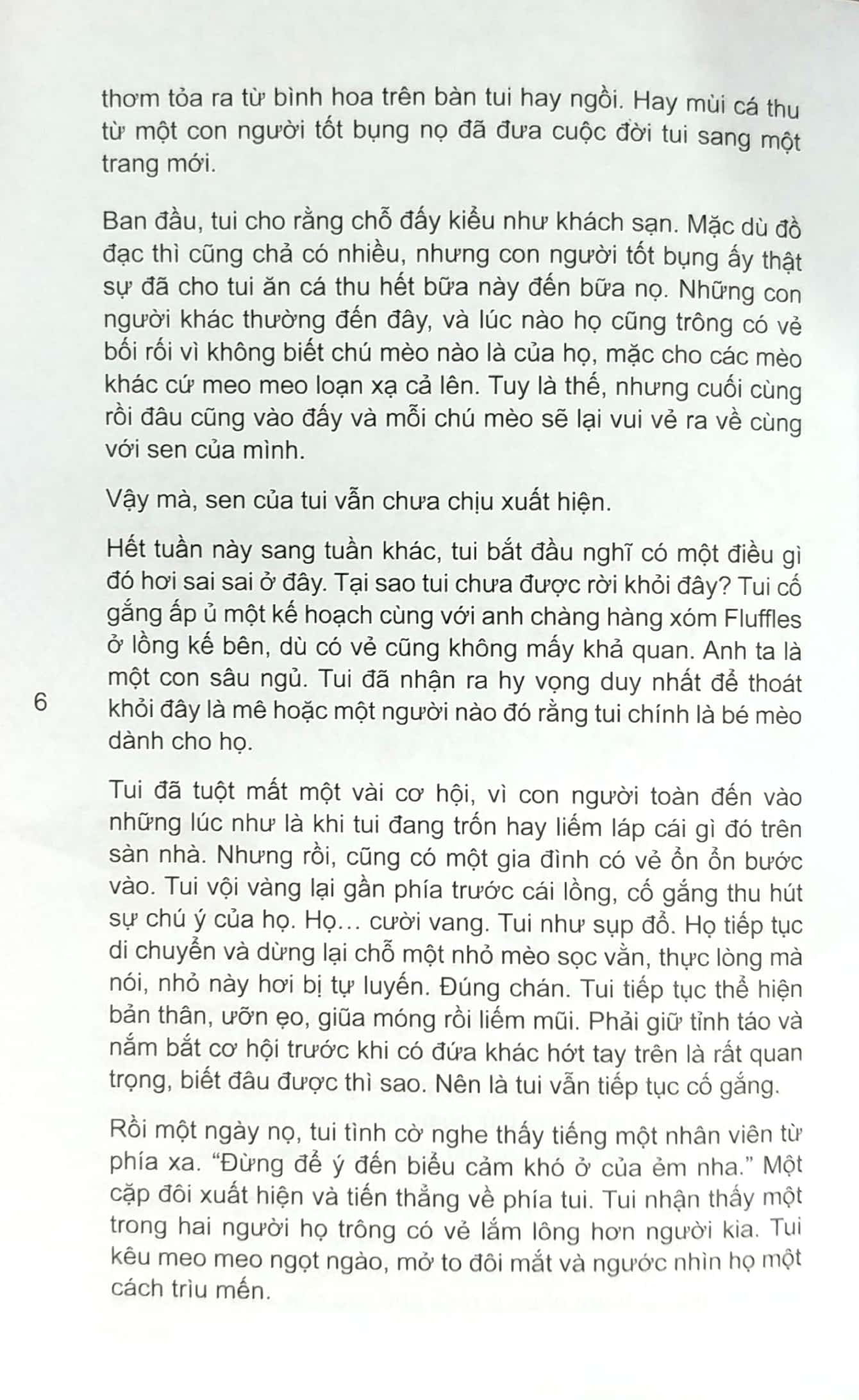 mèo con phiêu lưu ký