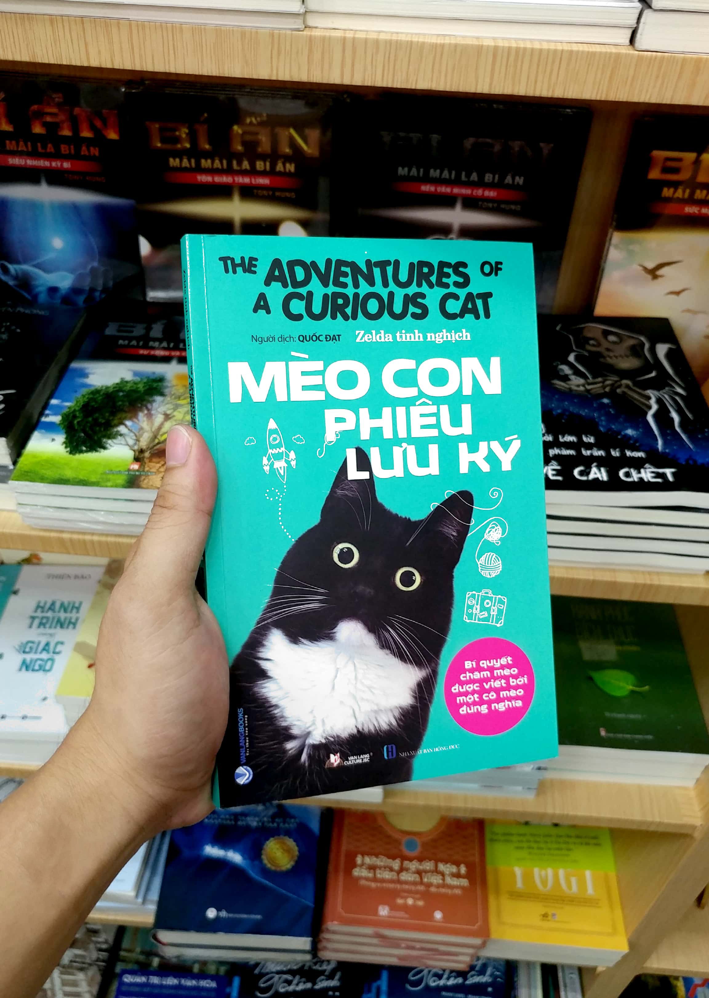 mèo con phiêu lưu ký