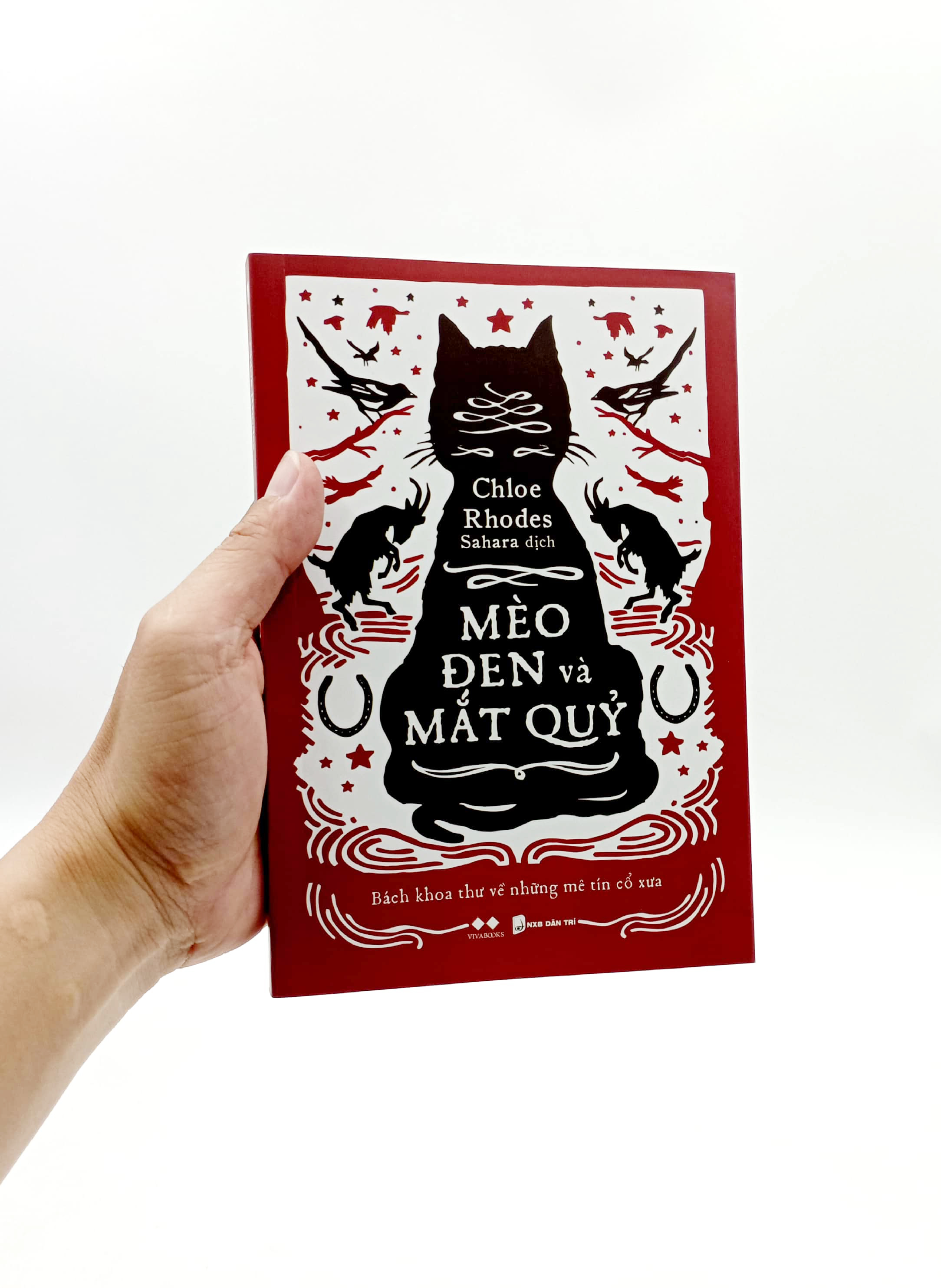 mèo đen và mắt quỷ