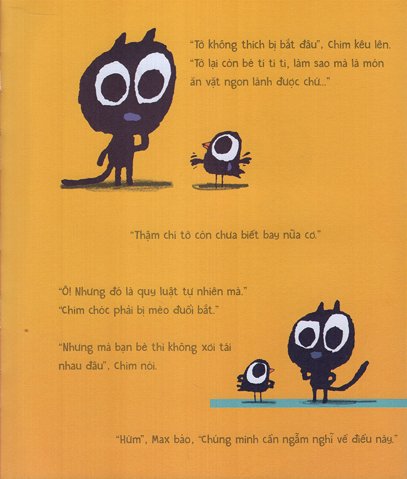 mèo max và chim
