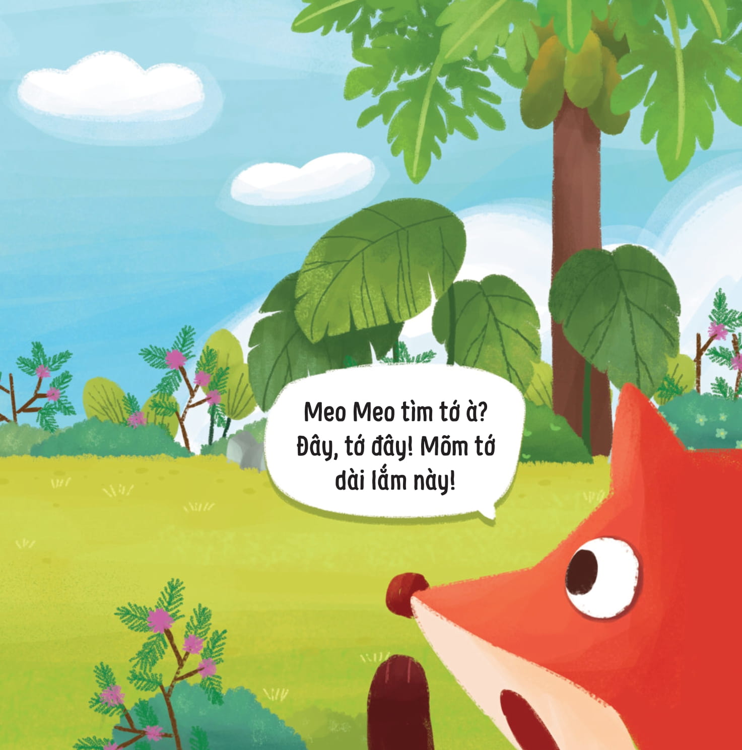 meo meo bé mèo tốt bụng - người bạn mõm dài