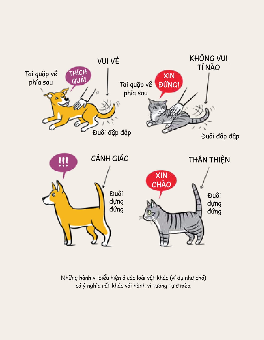 méo mèo meo - bí mật giao tiếp từ cái vẫy đuôi đến tiếng grừ grừ - tặng kèm thẻ đeo mica cá nhân hóa + bộ sticker mèo dễ thương