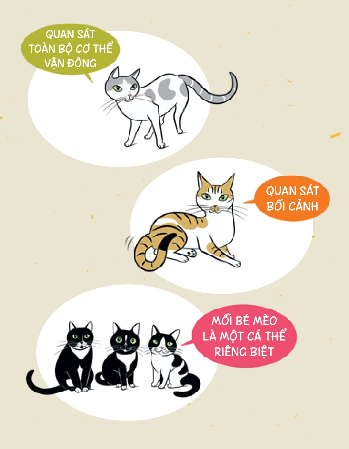 méo mèo meo - bí mật giao tiếp từ cái vẫy đuôi đến tiếng grừ grừ - tặng kèm thẻ đeo mica cá nhân hóa + bộ sticker mèo dễ thương
