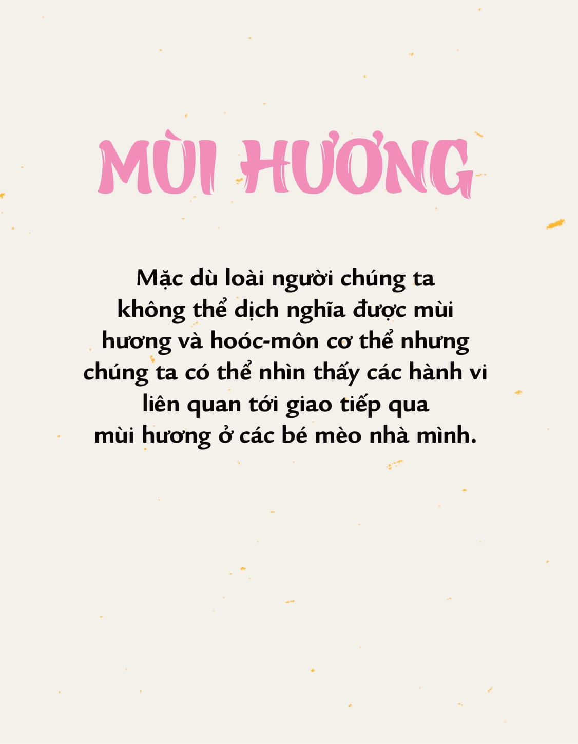 méo mèo meo - bí mật giao tiếp từ cái vẫy đuôi đến tiếng grừ grừ - tặng kèm thẻ đeo mica cá nhân hóa + bộ sticker mèo dễ thương