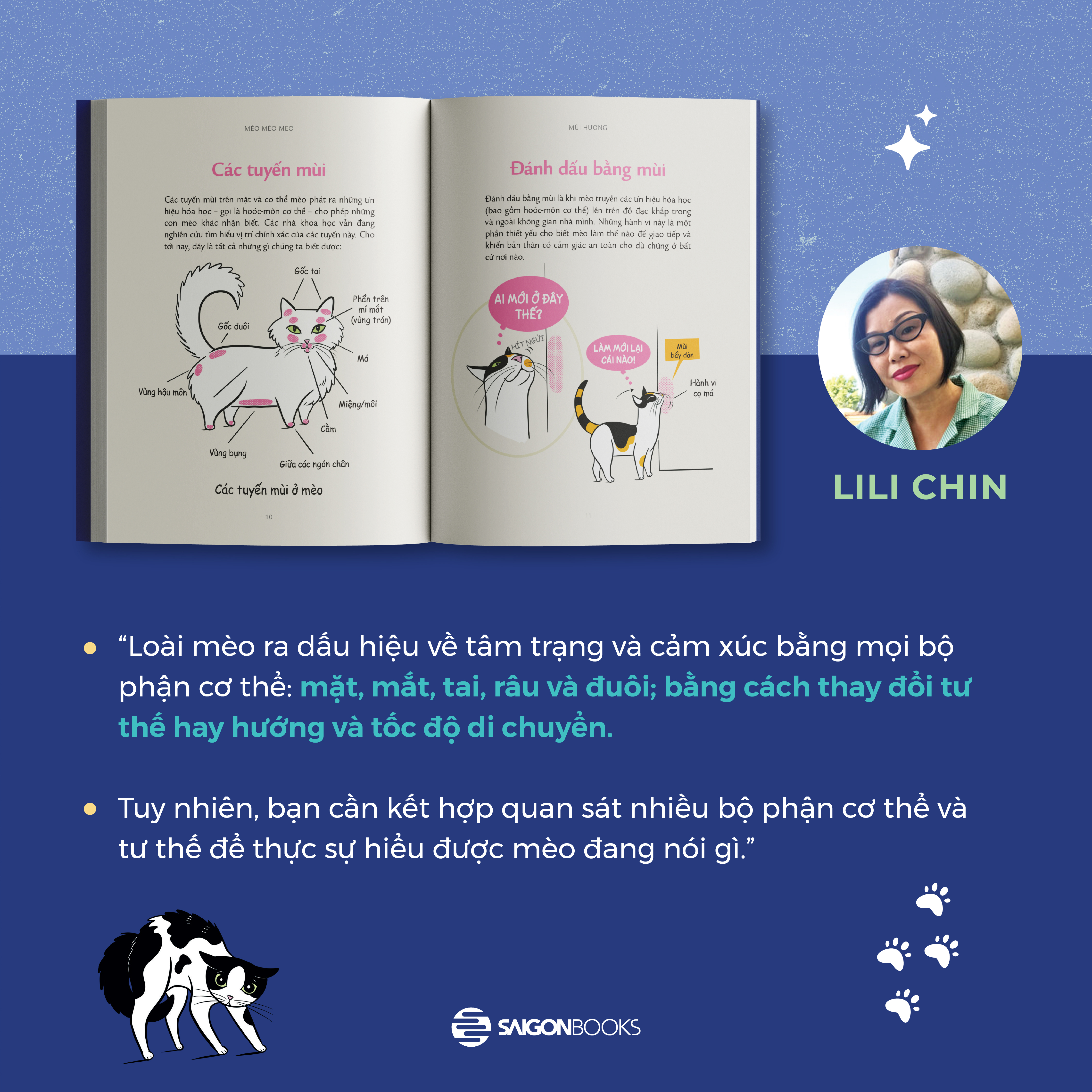 méo mèo meo - bí mật giao tiếp từ cái vẫy đuôi đến tiếng grừ grừ - tặng kèm thẻ đeo mica cá nhân hóa + bộ sticker mèo dễ thương