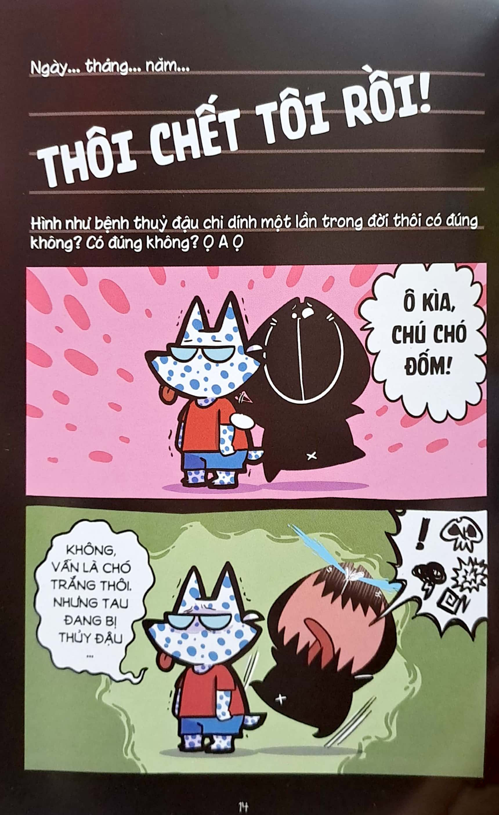 mèo mốc - và xuân sẽ lại về (tái bản)