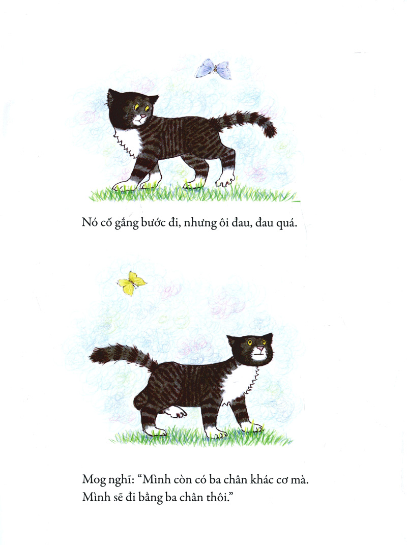 mèo mog mập - chuyện ở phòng khám (tái bản 2023)