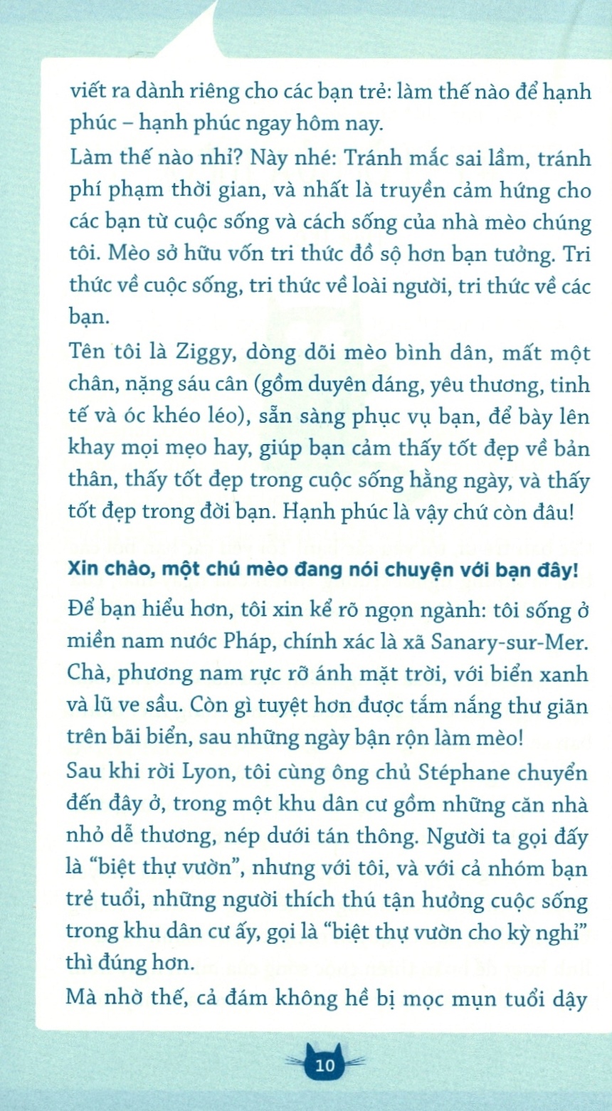 méo nhí thành mèo nhớn