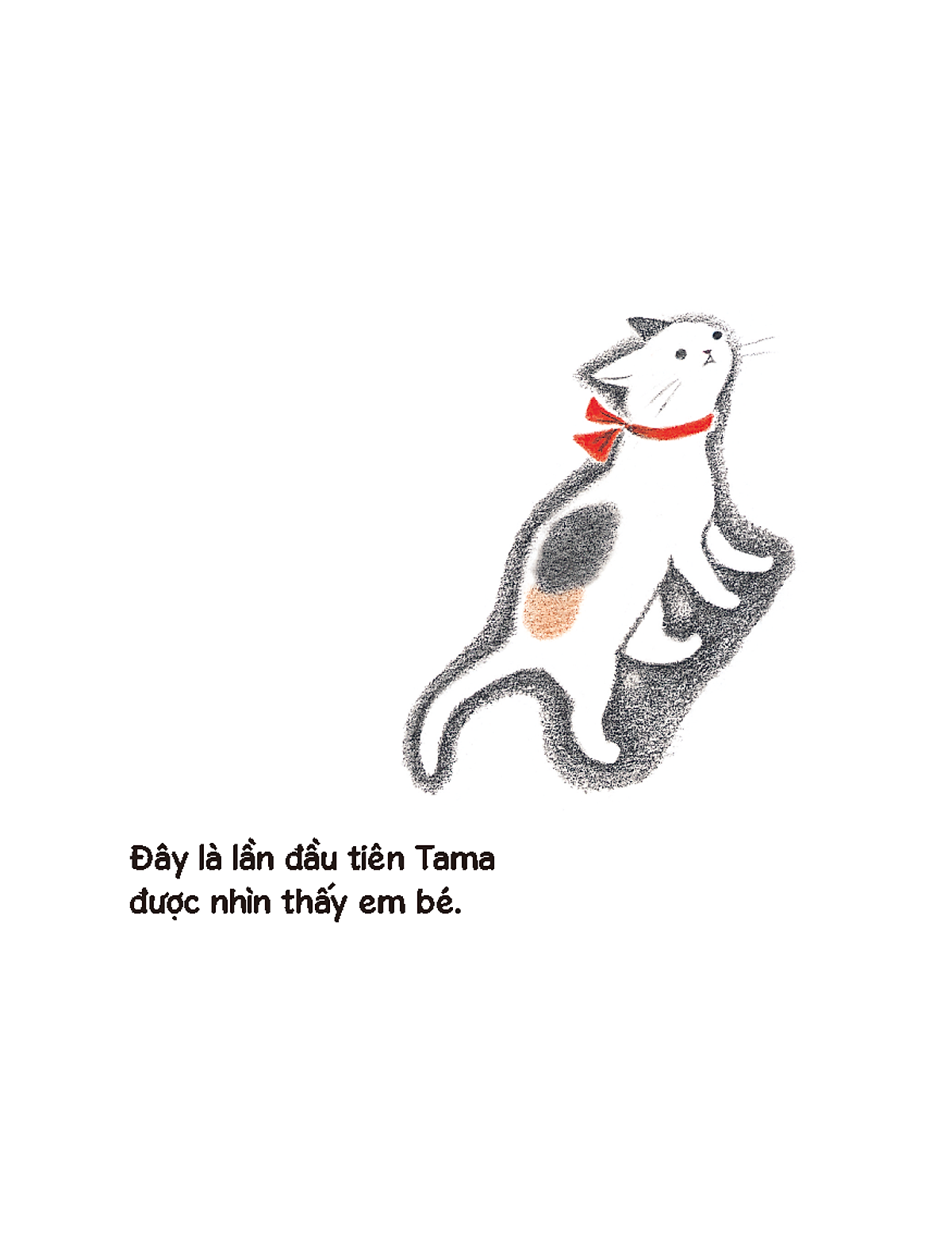 mèo tama và em bé