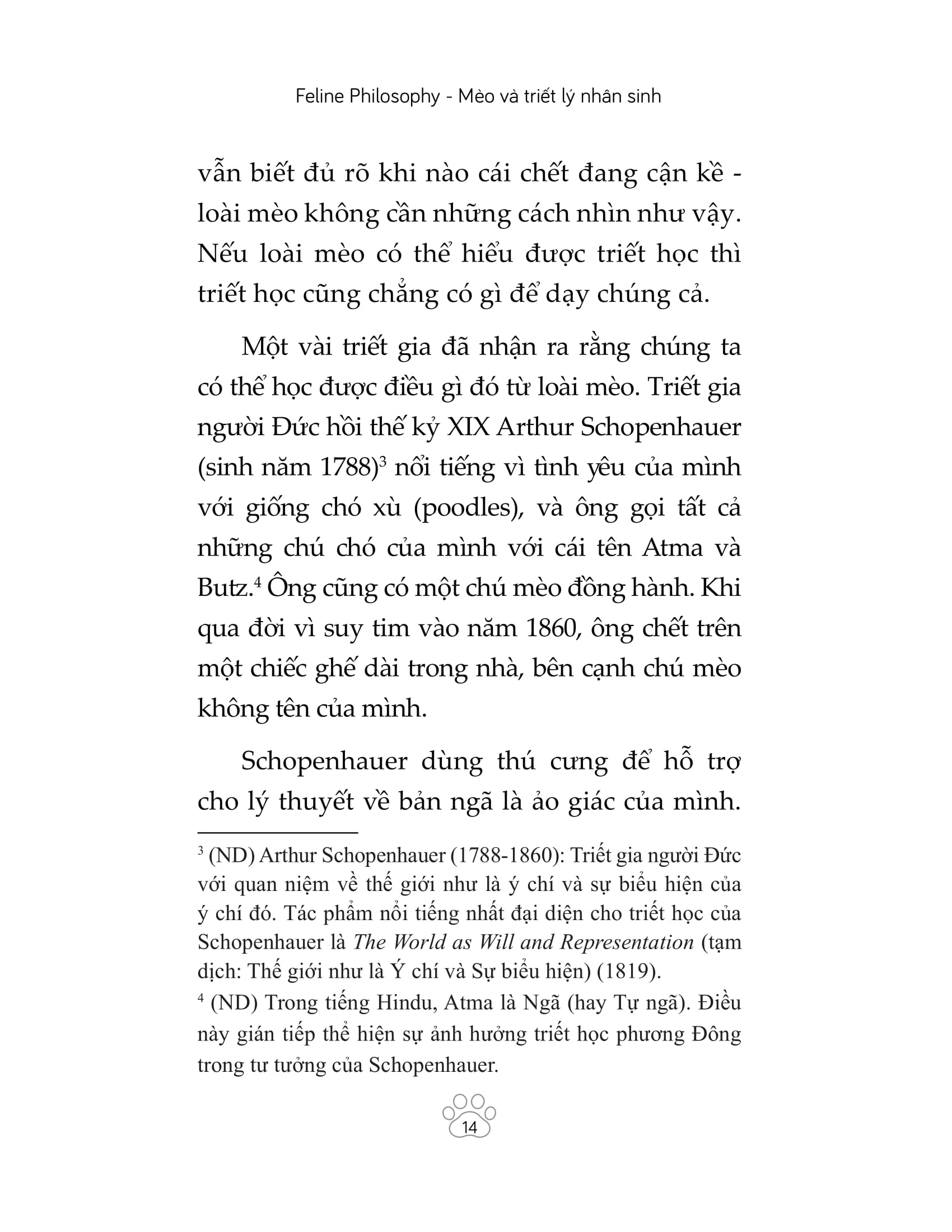 mèo và triết lý nhân sinh