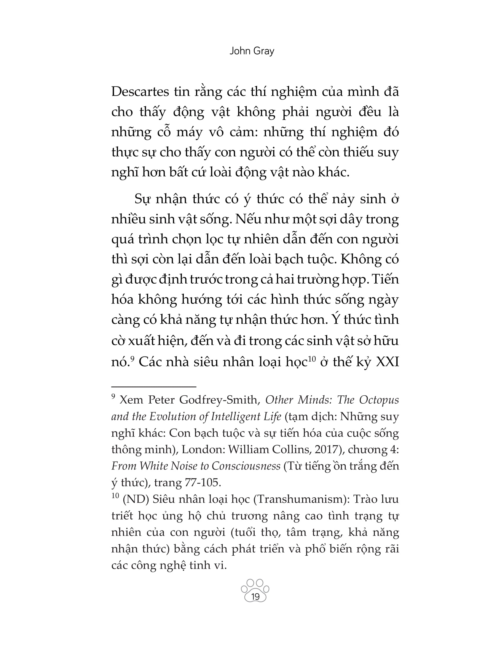 mèo và triết lý nhân sinh