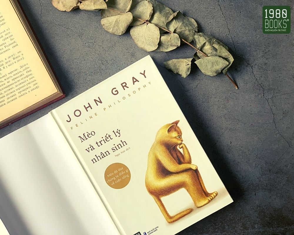 mèo và triết lý nhân sinh