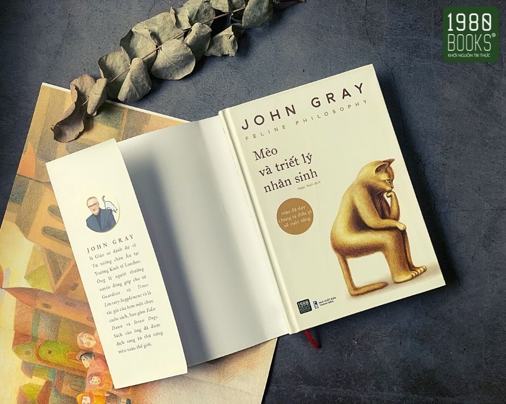 mèo và triết lý nhân sinh