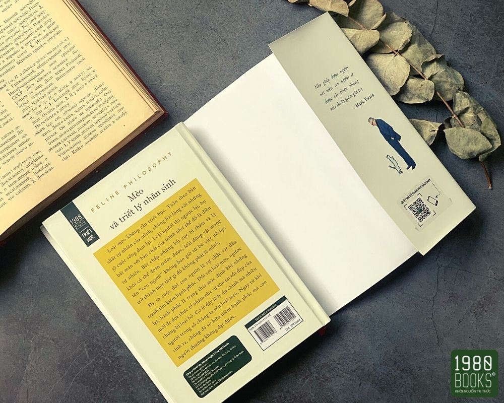 mèo và triết lý nhân sinh