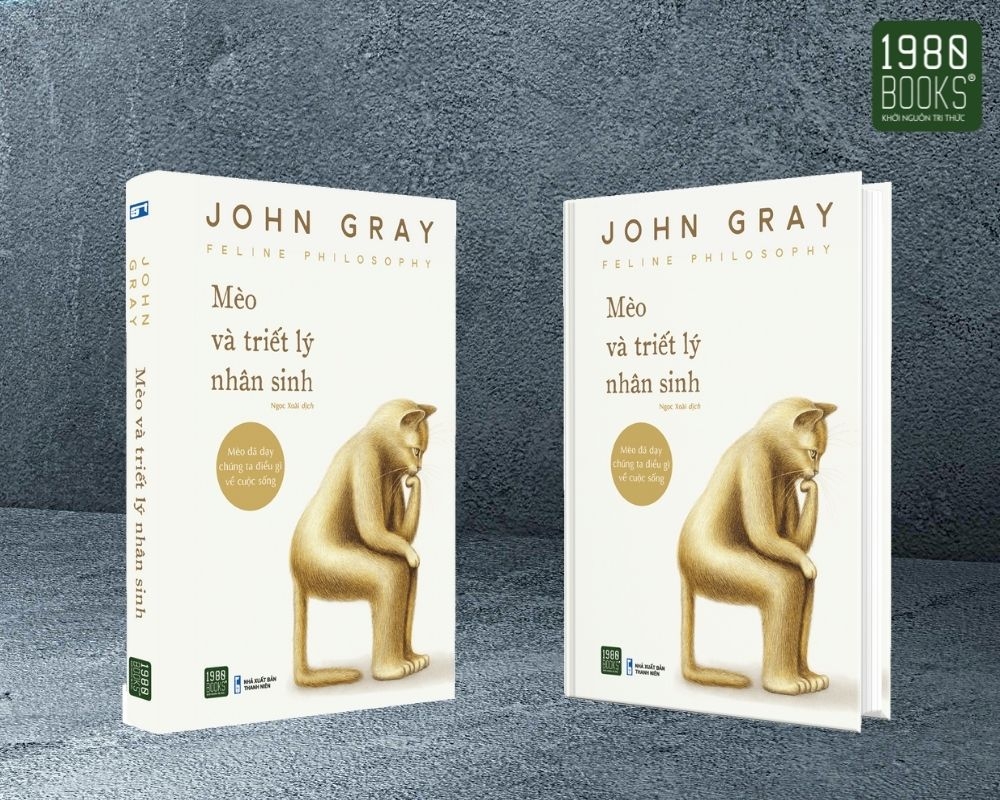 mèo và triết lý nhân sinh