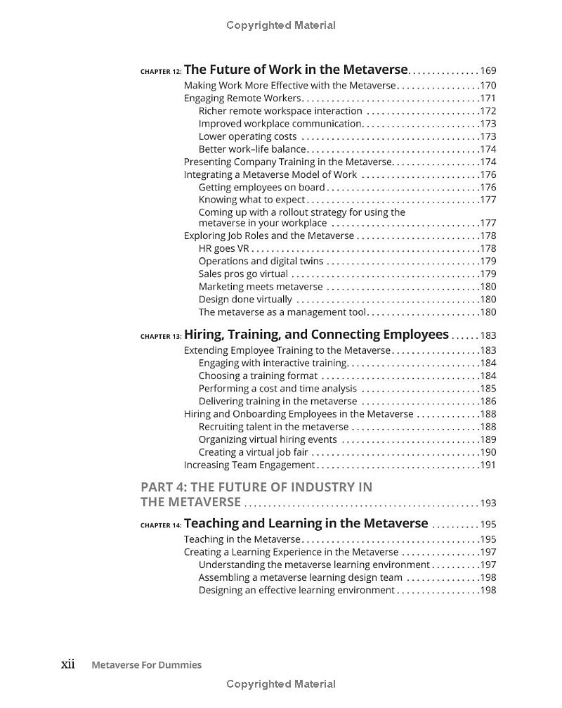 metaverse for dummies