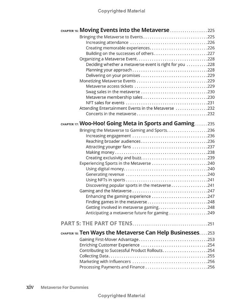 metaverse for dummies