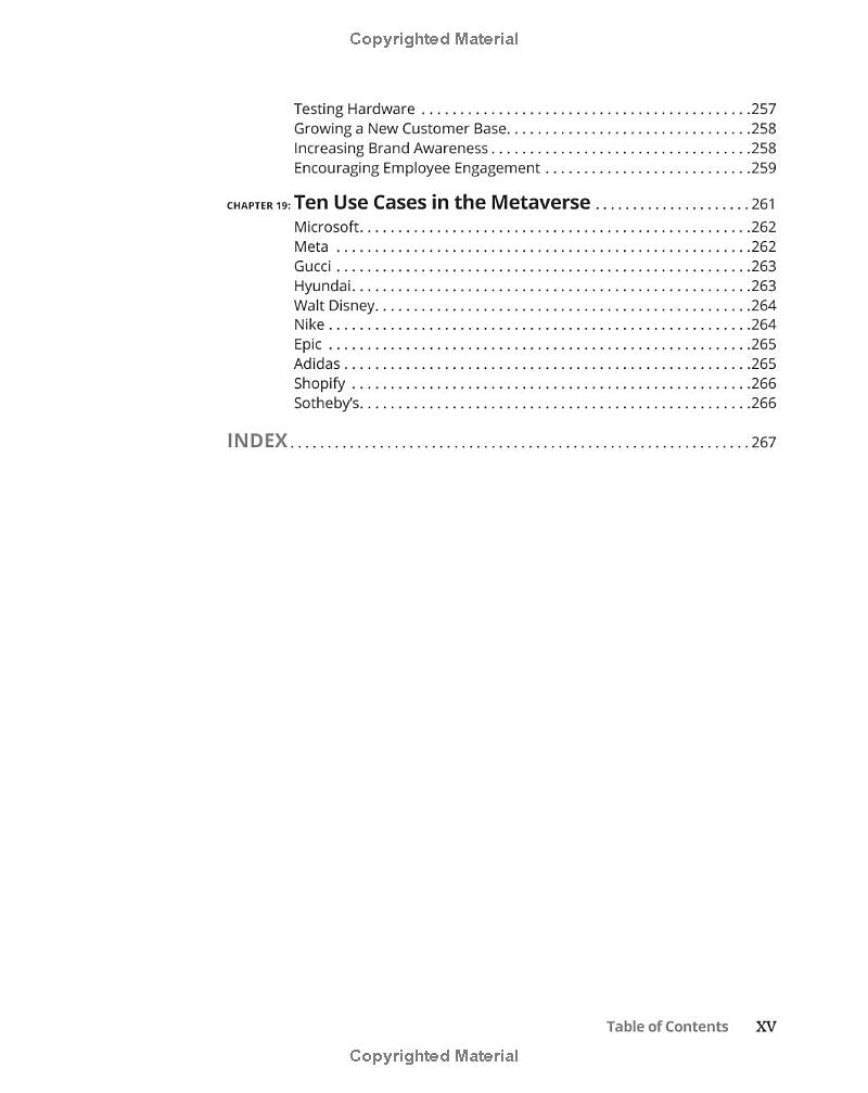 metaverse for dummies