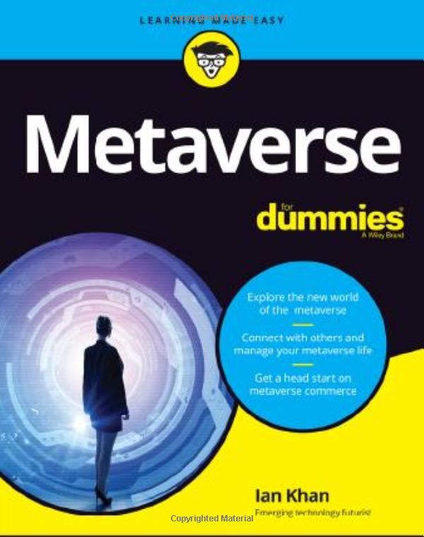metaverse for dummies