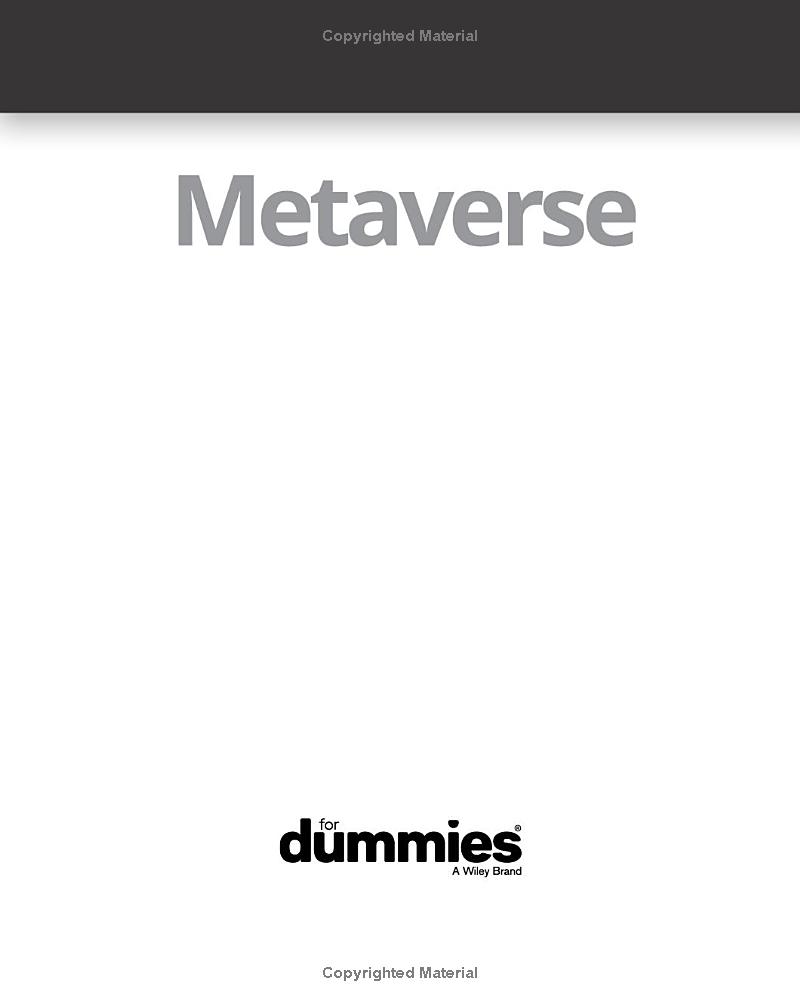 metaverse for dummies