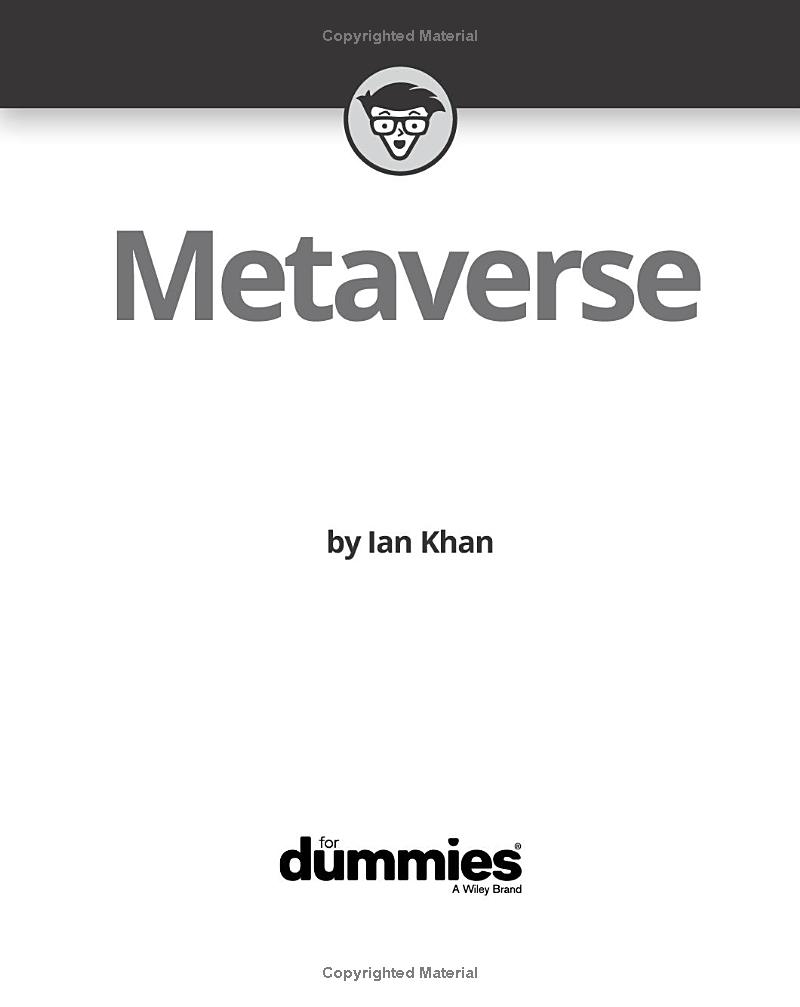 metaverse for dummies