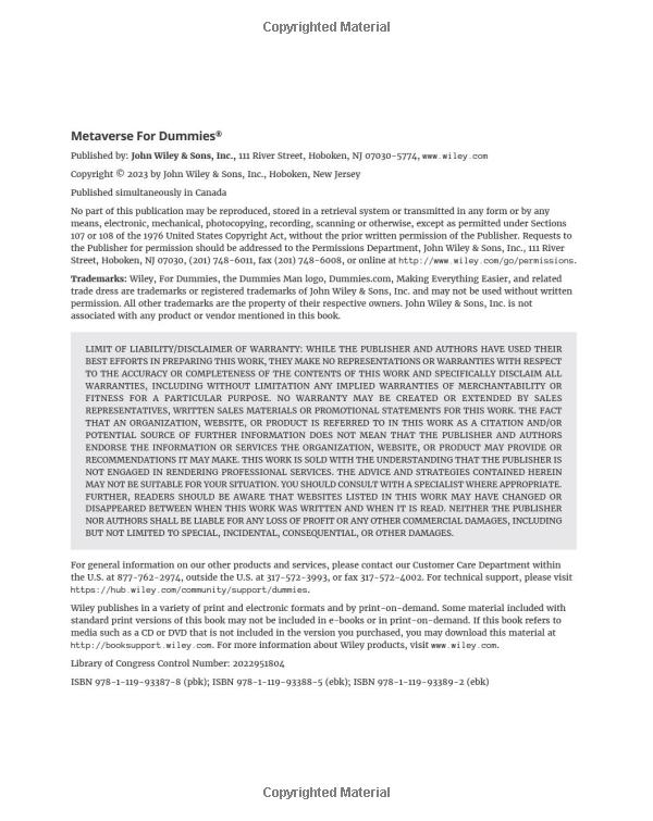 metaverse for dummies