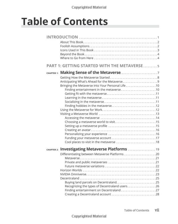 metaverse for dummies