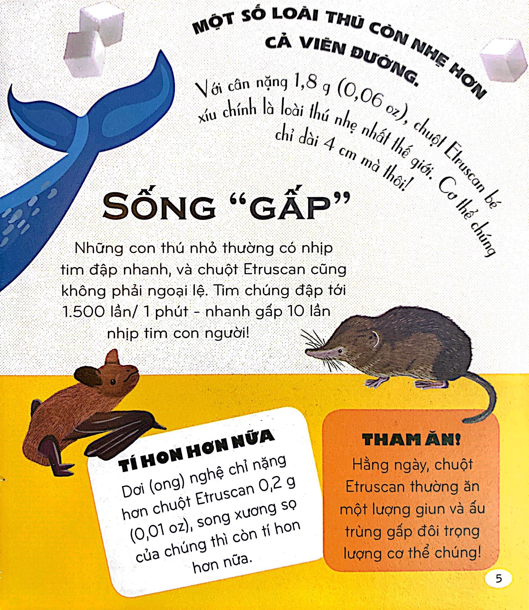 micro facts! 500 fantastic facts about animals - cùng bé khám phá 500 điều thú vị về động vật