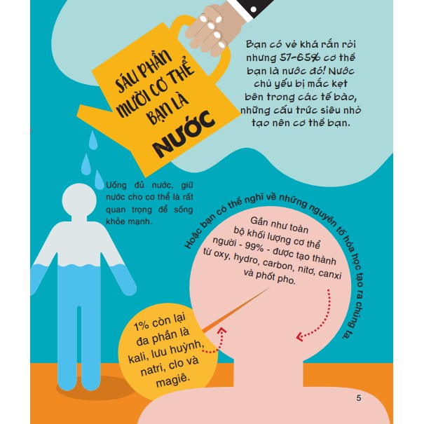 micro facts! 500 fantastic facts about your body - cùng bé khám phá 500 điều thú vị về cơ thể người