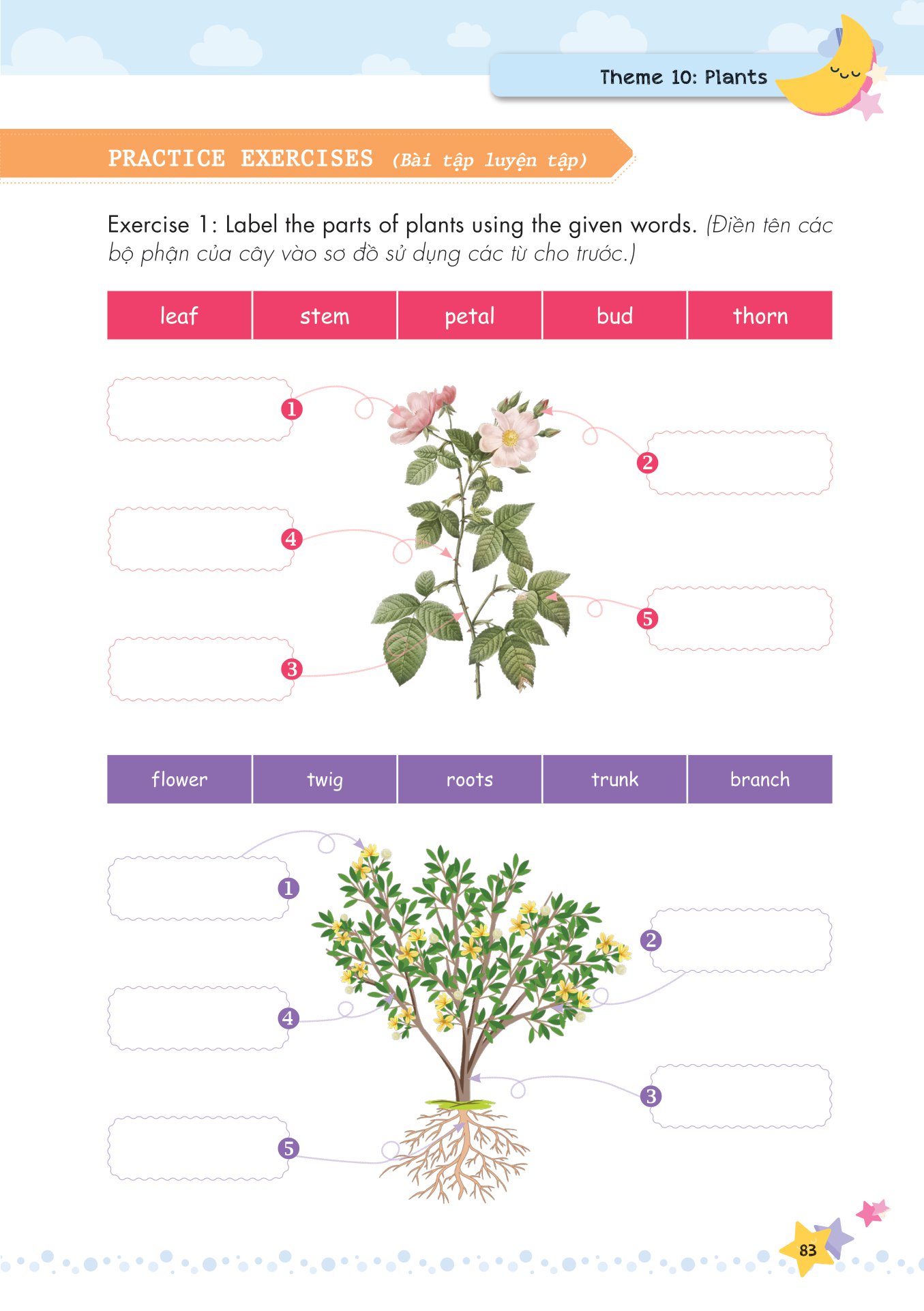 mind map - từ vựng tiếng anh cho học sinh tiểu học