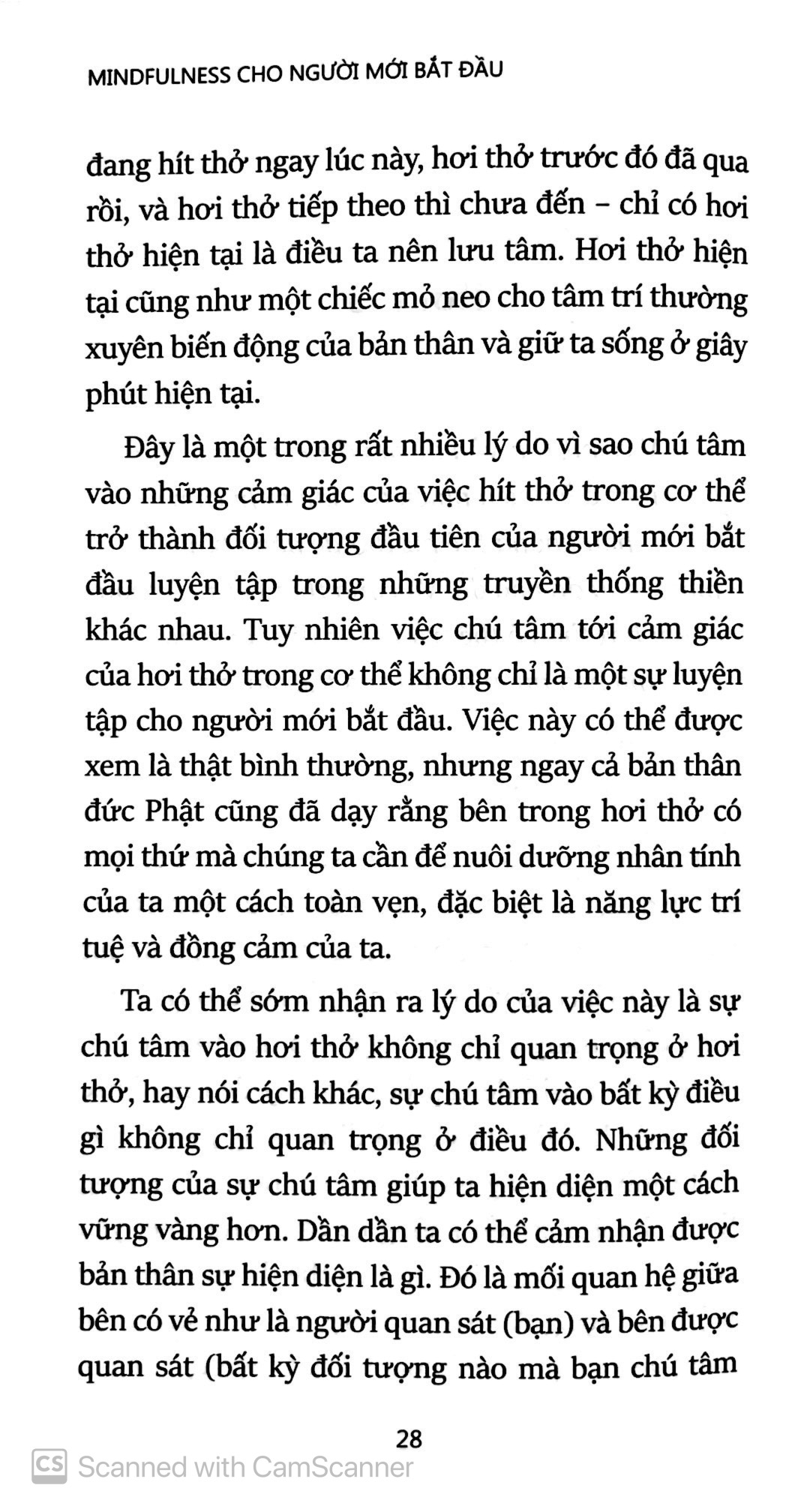 mindfullness cho người mới bắt đầu