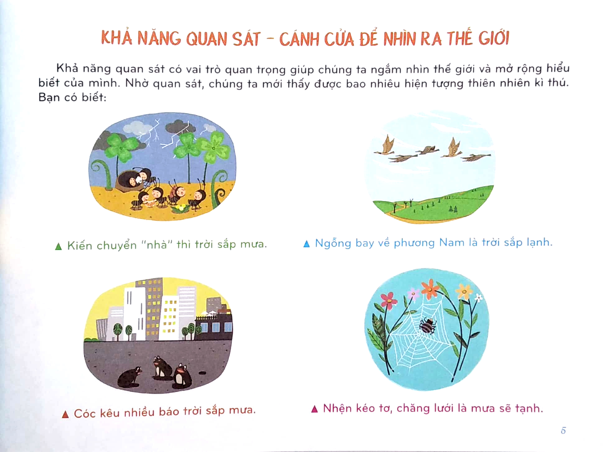 mindmap for kids - chơi hay, học vui với sơ đồ tư duy - khả năng quan sát