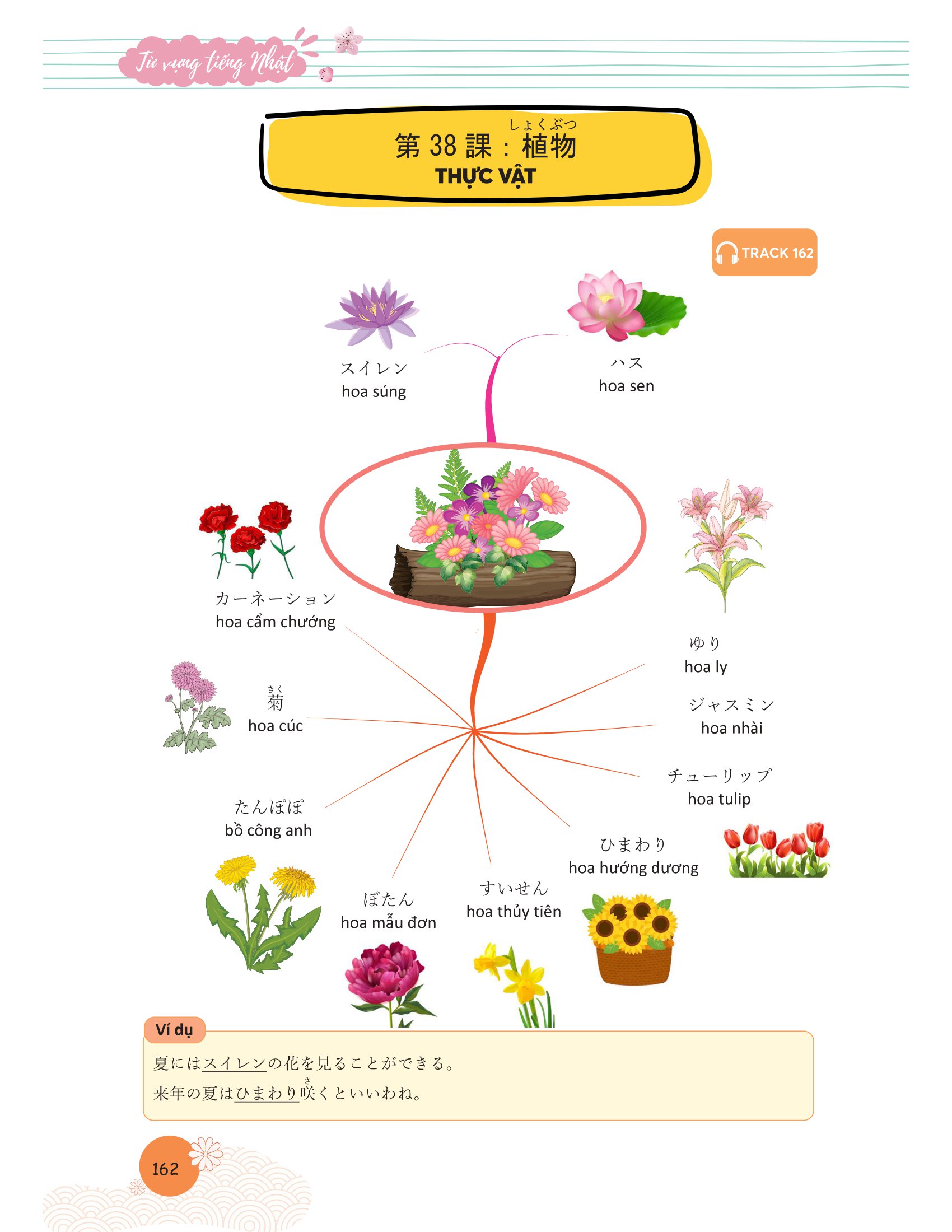 mindmap từ vựng tiếng nhật - học từ vựng tiếng nhật qua sơ đồ tư duy