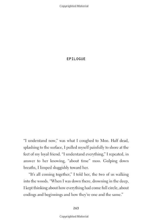 minecraft: the island: an official minecraft novel