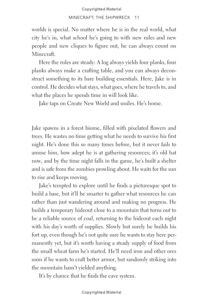 minecraft: the shipwreck