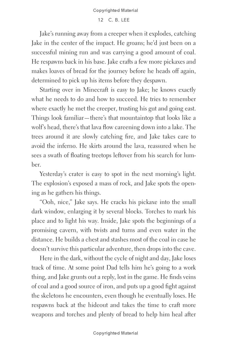 minecraft: the shipwreck