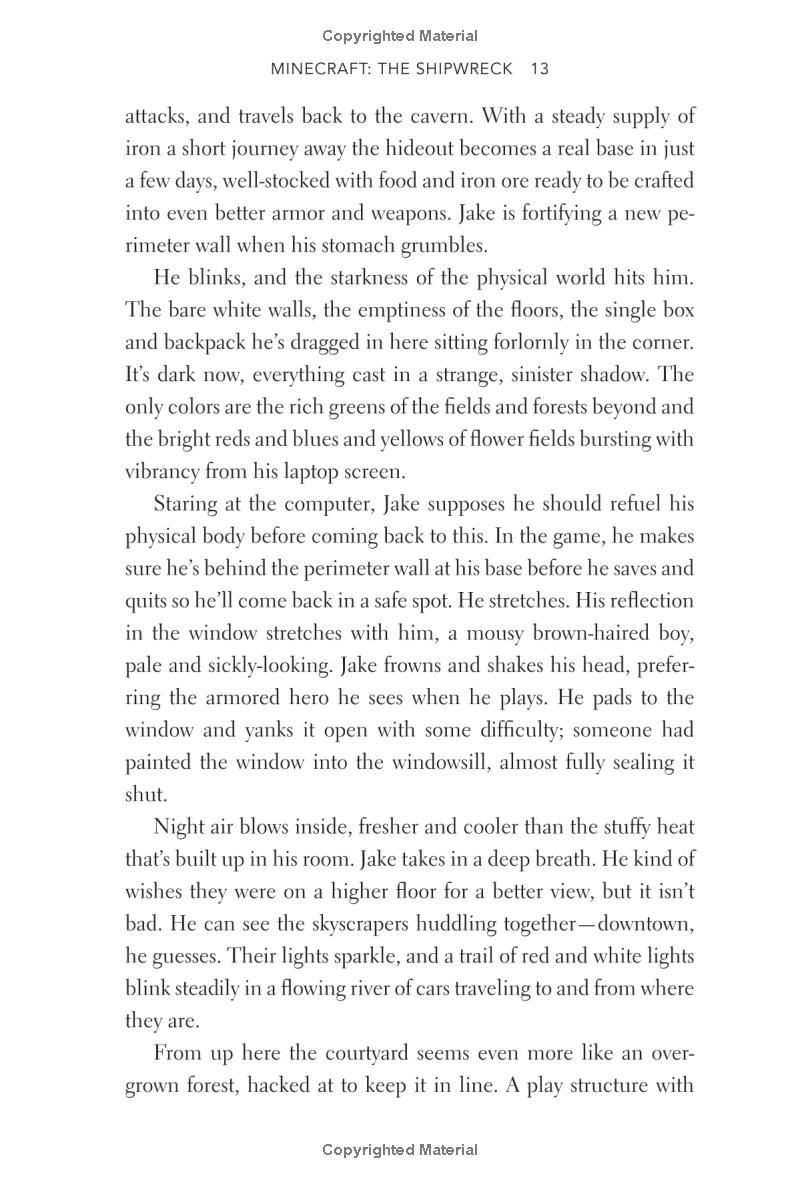 minecraft: the shipwreck