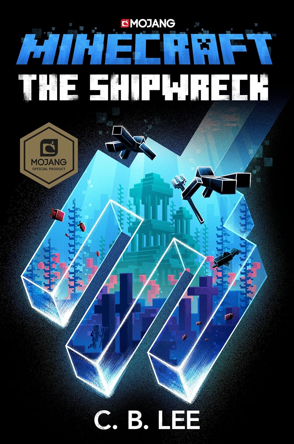 minecraft: the shipwreck