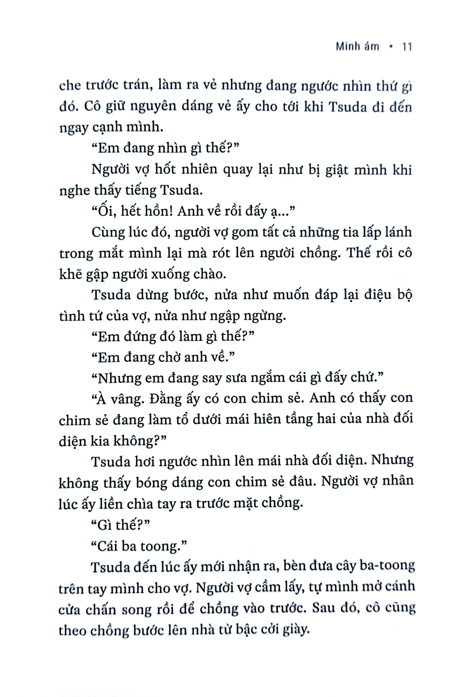 minh ám - bìa cứng