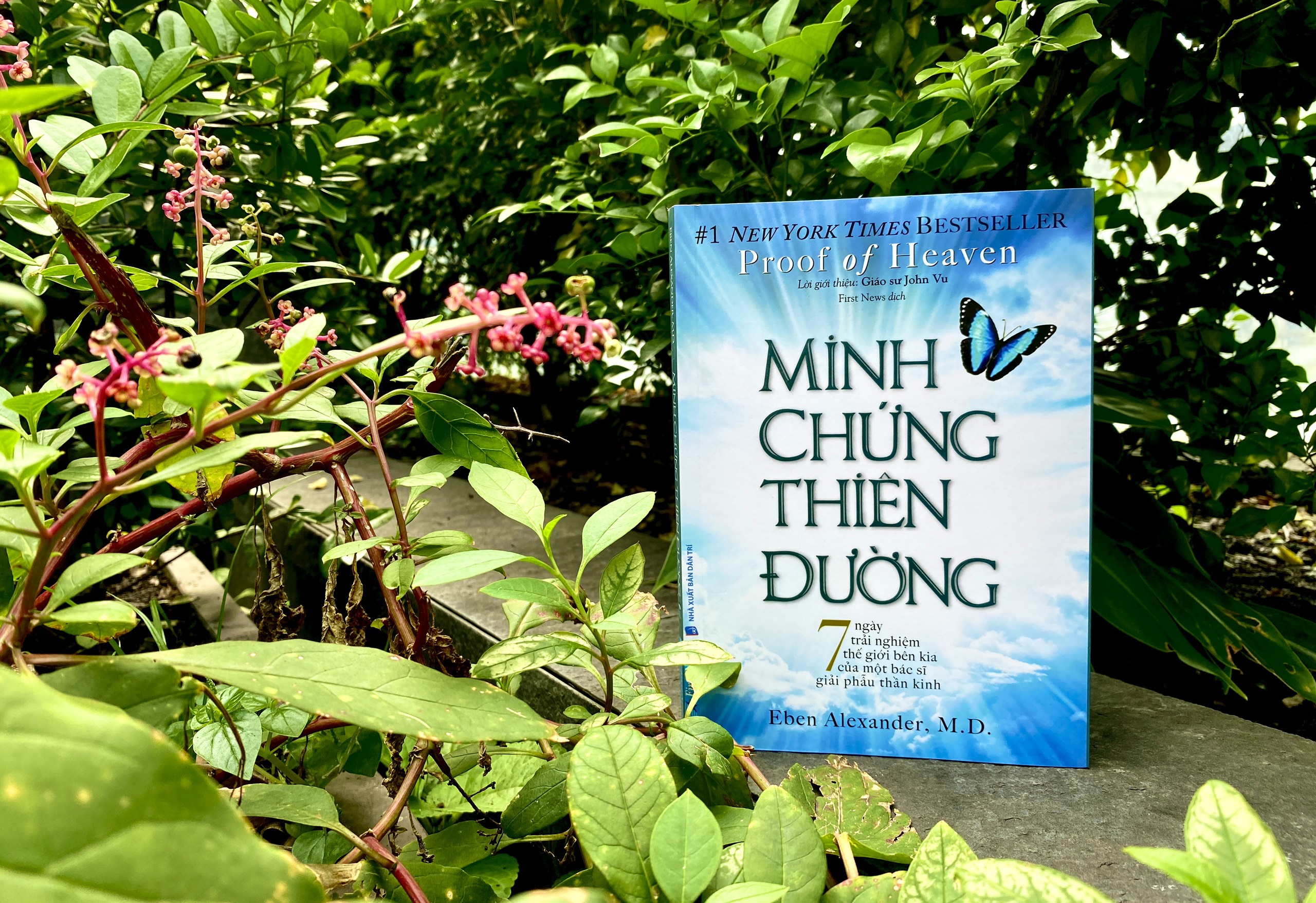 minh chứng thiên đường