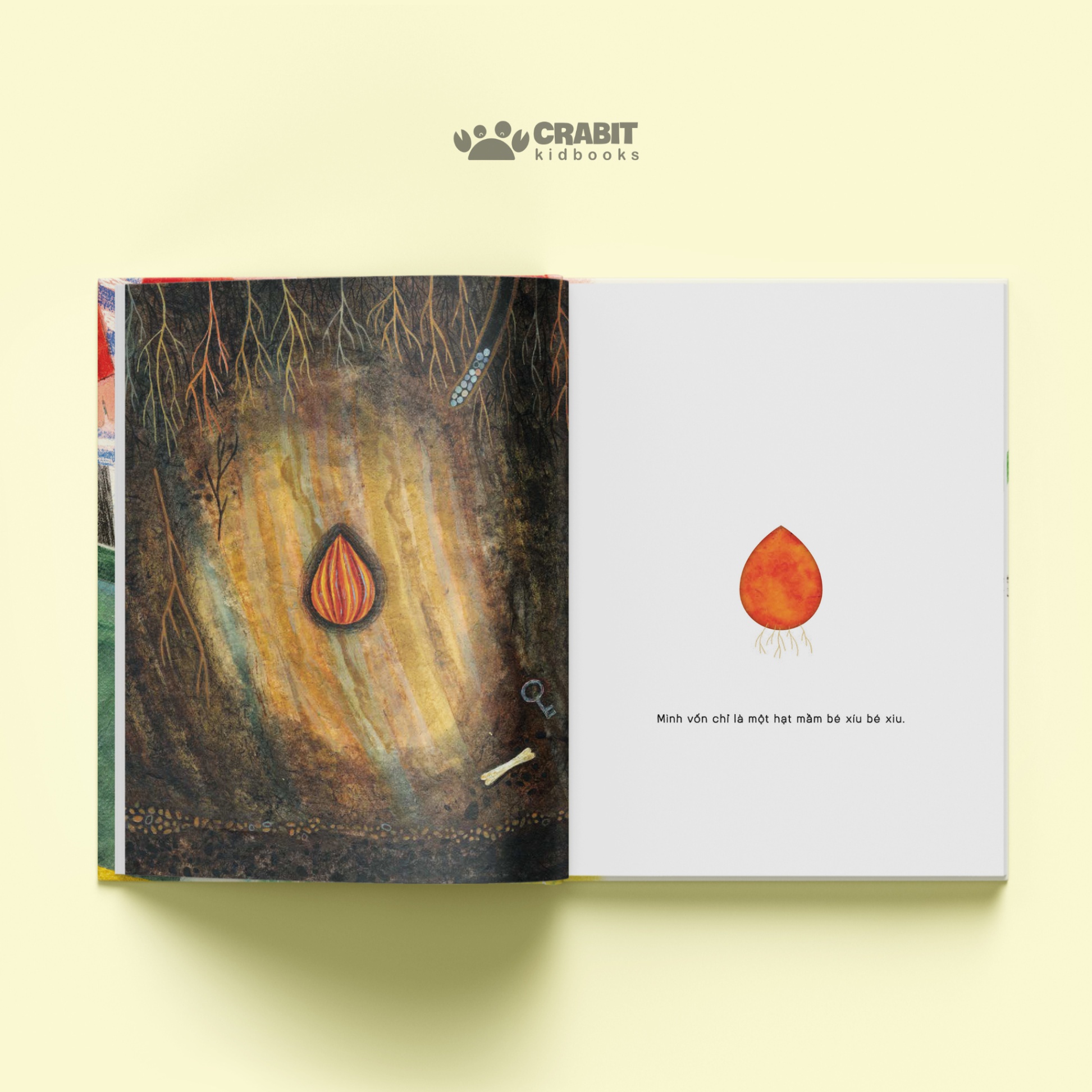 mình là một cái cây - bìa cứng
