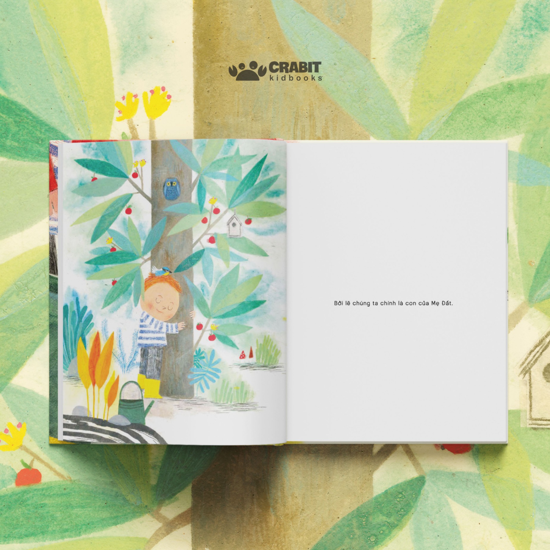 mình là một cái cây - bìa cứng