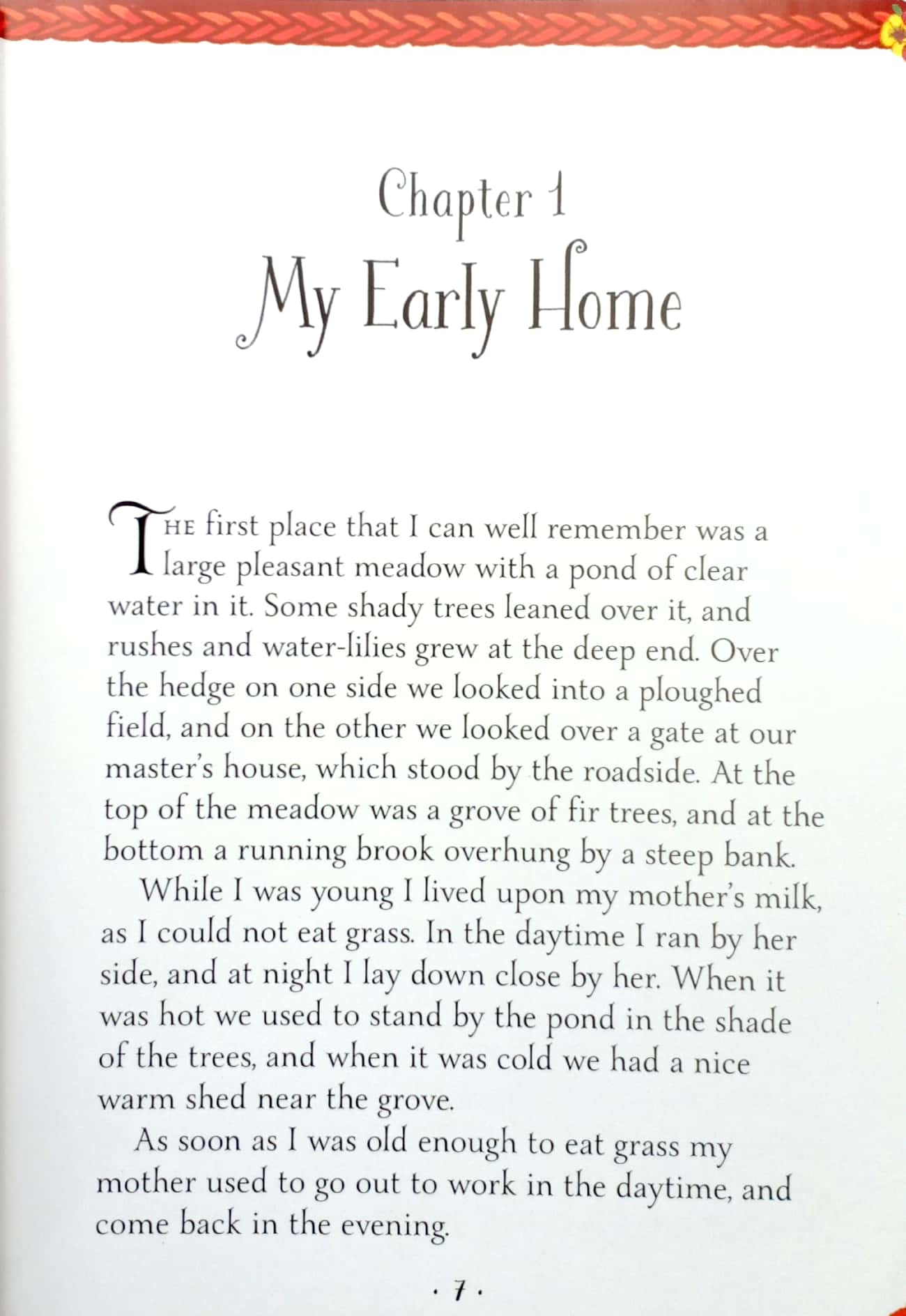 mini classics - black beauty