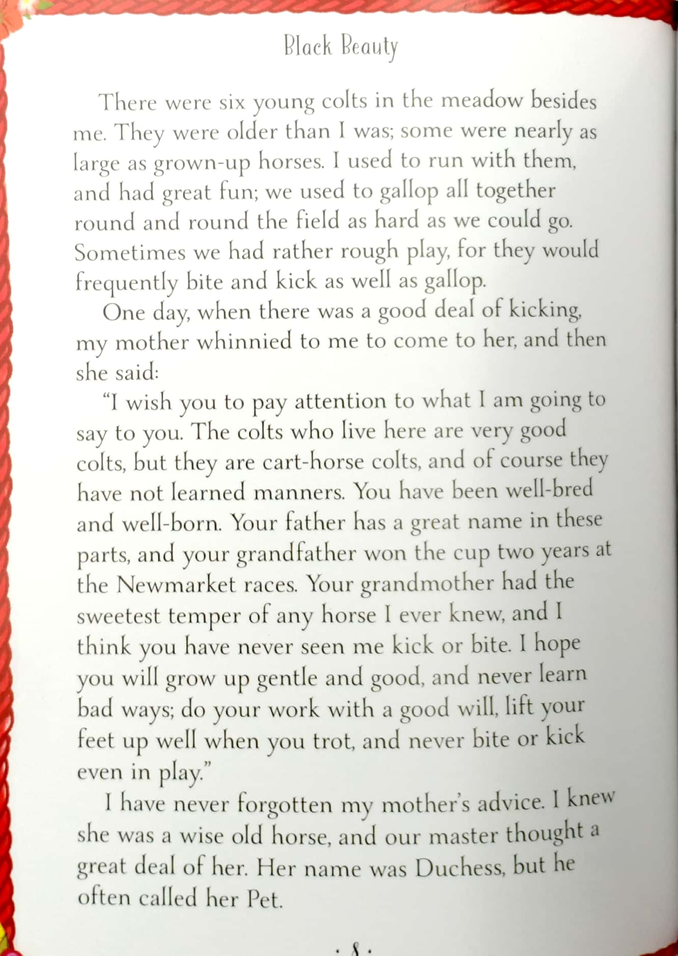 mini classics - black beauty